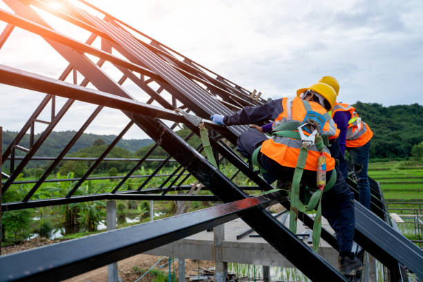 Professional Roofing Contractor in Mora, MN